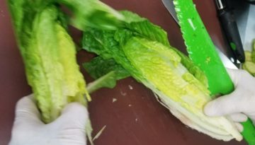 Lettuce (2)